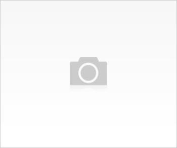 Organizasyonlar